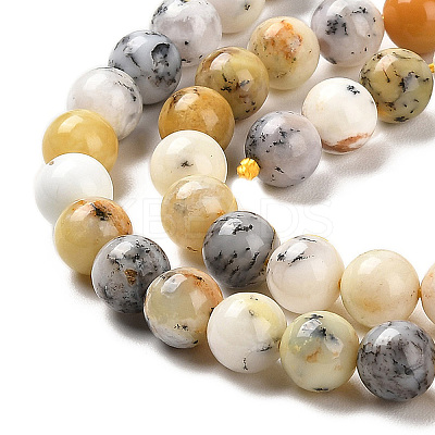 Natural African Opal Beads Strands G-B048-B03-02-1