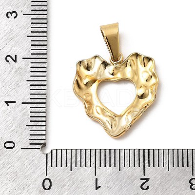 304 Stainless Steel Pendants STAS-C163-04D-G-1