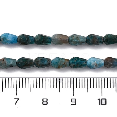 Natural Apatite Beads Strands G-C080-B06-01A-1