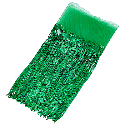 Polyester Tassel Lace Ribbon OCOR-WH0070-175C-1