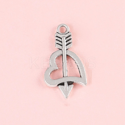 Valentine's Day Tibetan Style Alloy Pendants LS-FIND-CJC0019-25K-1