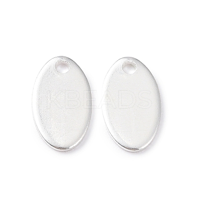 304 Stainless Steel Charms STAS-L234-065A-S-1