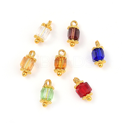 Transparent Glass Charms PALLOY-JF00459-M-1