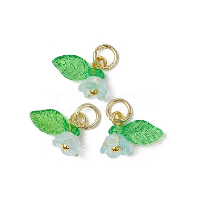 36Pcs Frosted Acrylic Flower & Leaf Charms PALLOY-JF03552-1