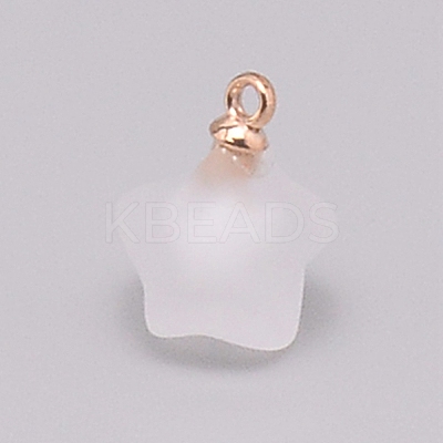 Resin Frosted Pendants MP-TAC0009-03G-1
