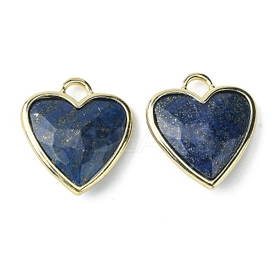 Natural Lapis Lazuli Pendants G-O204-01F-1