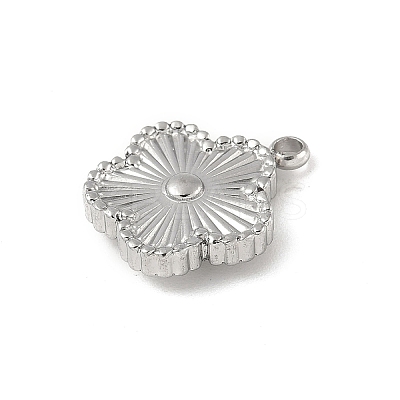 304 Stainless Steel Pendants STAS-P388-10P-1