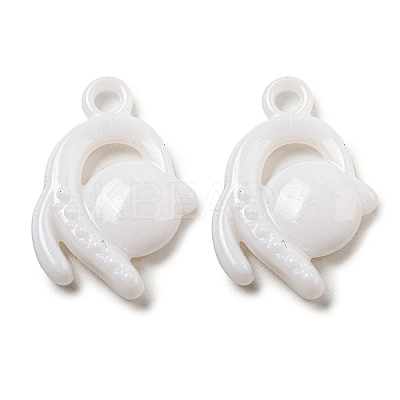Opaque Acrylic Pendants SACR-L007-055-1