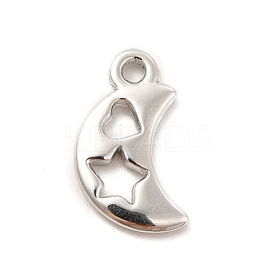 Non-Tarnish 304 Stainless Steel Pendants STAS-F282-15P-1