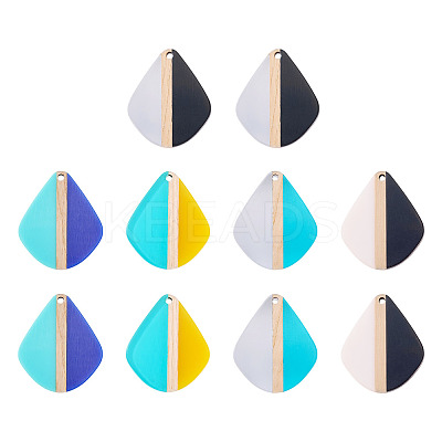 10Pcs 5 Colors Transparent & Opaque Resin & Wood Pendants RESI-TA0004-64-1
