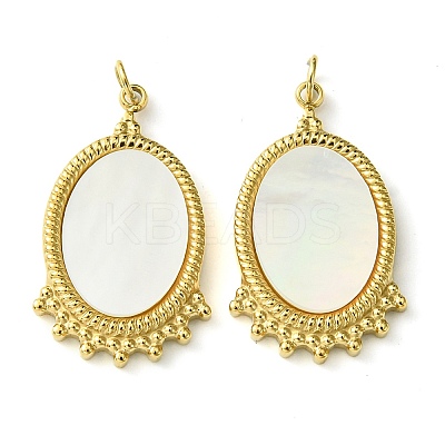 Ion Plating(IP) 304 Stainless Steel Pave Shell Pendants FIND-Z028-17G-1