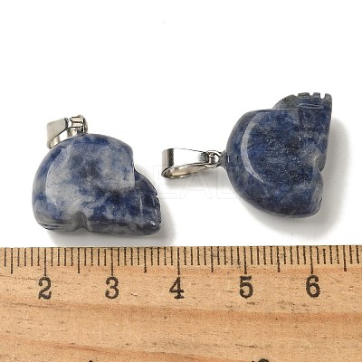 Natural Sodalite Pendants G-Z067-02P-03-1