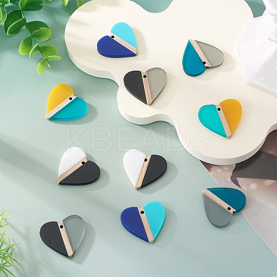 10Pcs 5 Colors Opaque & Transparent Resin & Wood Pendants RESI-TA0004-59-1