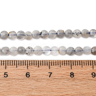 Natural Labradorite Beads Strands G-RM2025-A28-1