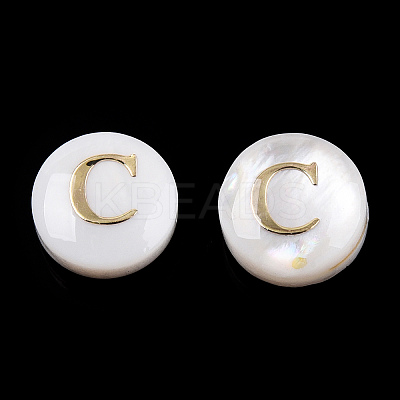 Natural Freshwater Shell Beads SHEL-N036-01C-1