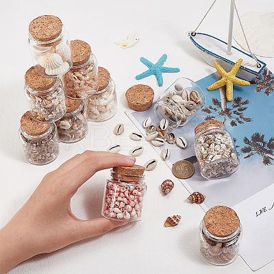 10Pcs Natural Sea Shell Conch Bead & Transparent Glass Bottle Display Decorations AJEW-AB00075-1