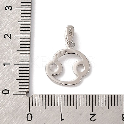 925 Sterling Silver Micro Pave Clear Cubic Zirconia Pendants STER-H117-01P-04-1