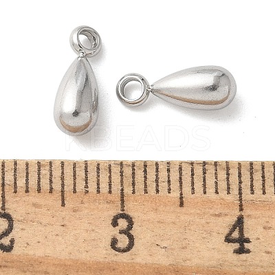304 Stainless Steel Charms STAS-U037-18P-1