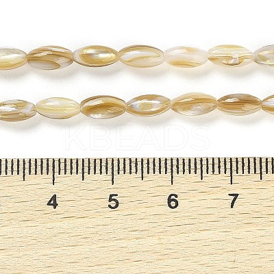 Natural Freshwater Shell Beads Strands X-BSHE-G036-03-1