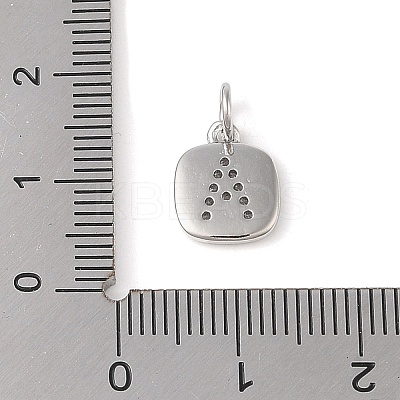 Rack Plating Brass Micro Pave CLear Cubic Zirconia Charms KK-E110-14P-A-1