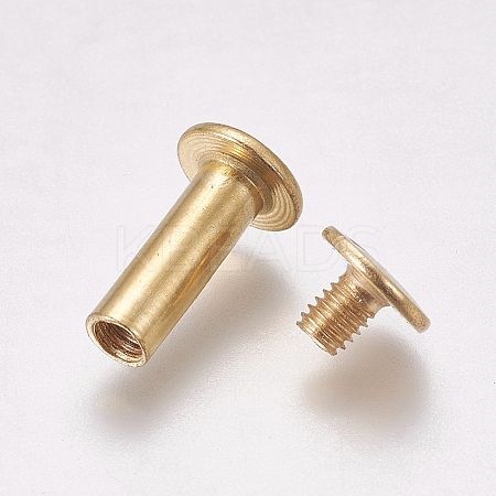 Iron Screw Rivets IFIN-WH0051-09B-G-1