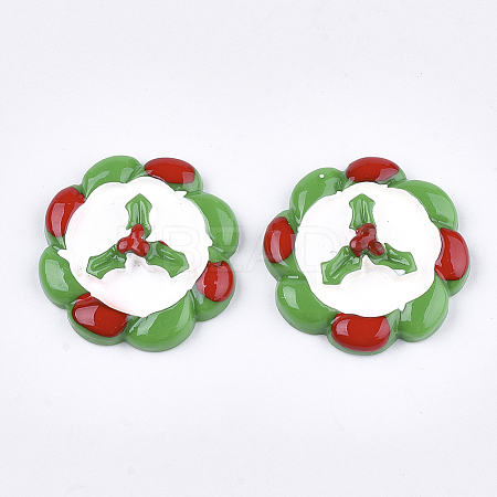 Resin Cabochons LS-CRES-T013-19-1