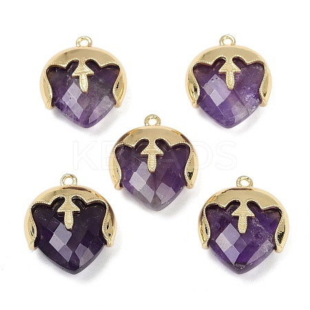 Natural Amethyst Faceted Pendants G-K347-09G-03-1