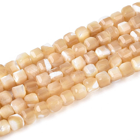 Natural Trochid Shell/Trochus Shell Beads Strands SSHEL-N041-04B-02-1