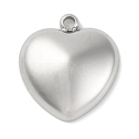 Anti-Tarnish 304 Stainless Steel Pendants STAS-D194-11S-1