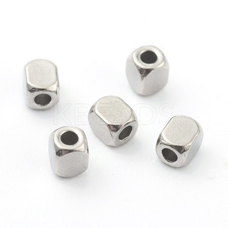 304 Stainless Steel Beads STAS-H160-03A-P-1