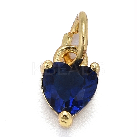 Brass Micro Pave Cubic Zirconia Charms LS-X-KK-P192-08-G02-1