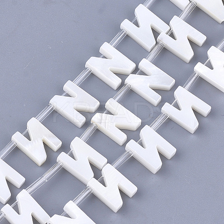Natural Freshwater Shell Beads SHEL-T012-59N-1