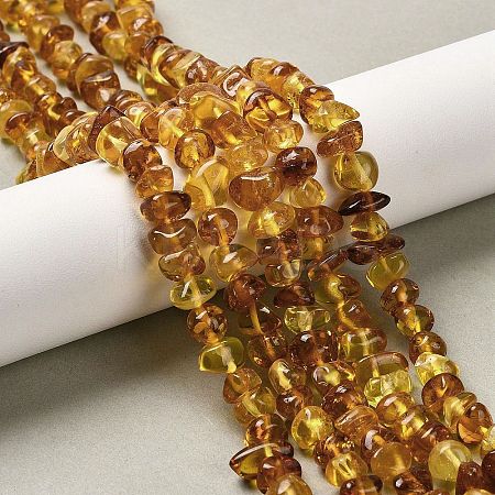 Natural Amber Beads Strands G-L095-L01-01-1