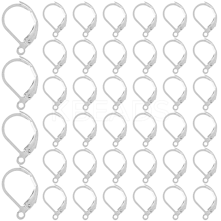304 Stainless Steel Leverback Earring Findings STAS-SP0001-01B-1