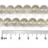 Frosted Transparent Glass Bead Strands GLAA-P065-10mm-01-3