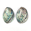 Natural Paua Shell Beads SSHEL-Q298-22-1