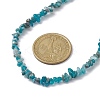 Natural Apatite Chip Beaded Necklace NJEW-JN04616-15-3
