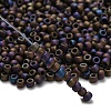 TOHO 6/0 Round Beads X-SEED-TR06-0615-2