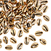 80Pcs Electroplated Natural Cowrie Shell Beads BSHE-LT0001-06G-1