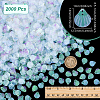 2000Pcs UV Plating Resin Charms RESI-NB0002-17A-2