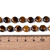 Natural Tiger Eye Beads Strands G-B153-A17-5