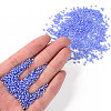 12/0 Grade A Round Glass Seed Beads SEED-N001-D-13/212-4