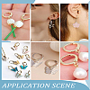 20Pcs 2 Colors 304 Stainless Steel Leverback Earring Findings STAS-LP0001-71-4