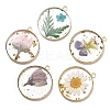 5Pcs 5 Styles Transparent Clear Epoxy Resin Pendants RESI-YW0004-21-1