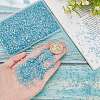 Transparent Electroplate Crushed Glass Craft GLAA-SC0001-98C-01-3
