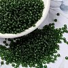 MIYUKI Round Rocailles Beads SEED-JP0009-RR0158F-1