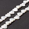 Natural Trochid Shell/Trochus Shell Beads SSHEL-O001-27C-4