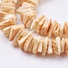 Natural Sea Shell Beads Strands X-BSHE-K012-08A-4