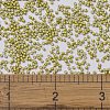MIYUKI Delica Beads SEED-X0054-DB1154-4