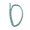 Synthetic Turquoise Dyed Beads Strands G-E594-20A-2
